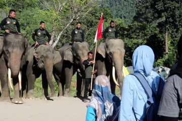 Kaum muda Aceh peringati Hari Pahlawan bersama gajah