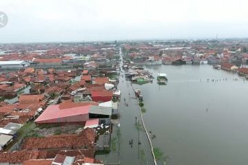 Kota Pekalongan waspada tenggelam akibat penurunan tanah