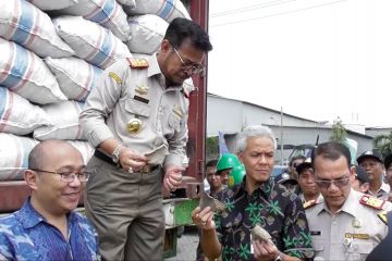 Mentan dorong petani Jateng lakukan variasi tanam