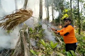 Satu hektare hutan di Halmahera Tengah terbakar