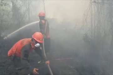 Faktor penting penyebab kebakaran hutan dan lahan