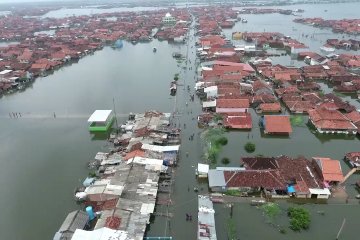 BPBD Pekalongan Siaga Bencana Banjir Rob