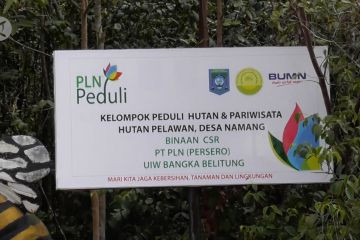 PLN bangun jembatan pelangi wisata hutan Pelawan