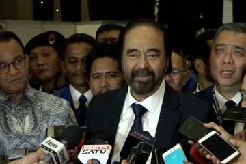 Surya Paloh jawab teriakan 'oposisi': bodoh sekali!