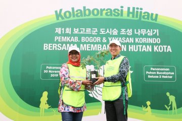 Peringati Hari Menanam Pohon Indonesia, Korindo bangun hutan kota di Bogor