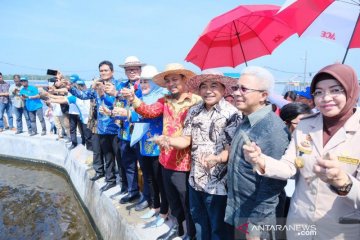 Menteri Edhy Prabowo Optimistis kembalikan industri udang di Indonesia