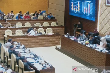 Kemenhub minta Komisi V-VI-VII rapat bahas hargap avtur