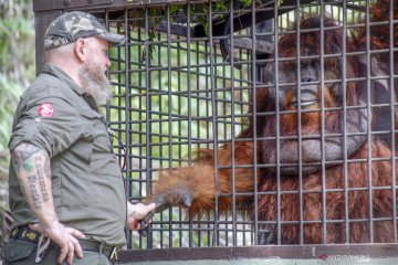 Pusat Suaka Orangutan Arsari