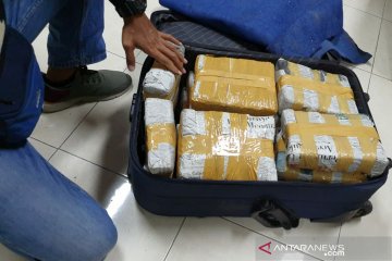 Sebanyak 15 kilogran ganja dari Jakarta diamankan aparat gabungan NTB
