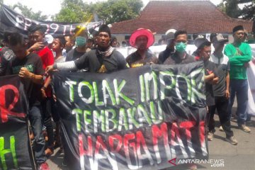 APTI minta pembatasan impor tembakau segera diberlakukan