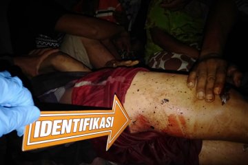 Petani di Ogan Komering Ulu diduga tewas diserang Beruang