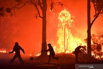 Dahsyatnya kebakaran hutan di Australia