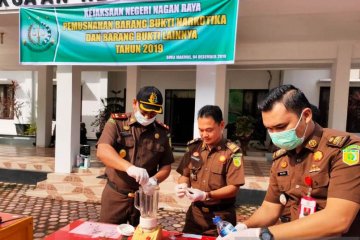 Kejari Nagan Raya Aceh musnahkan 24,3 kg ganja dan sabu-sabu 33,7 gram