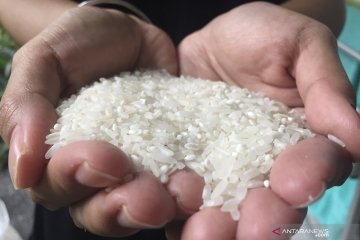 Bulog Malang kesulitan salurkan beras kualitas medium