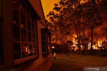 Kebakaran hutan di Australia mulai menjalar ke arah bangunan permukiman