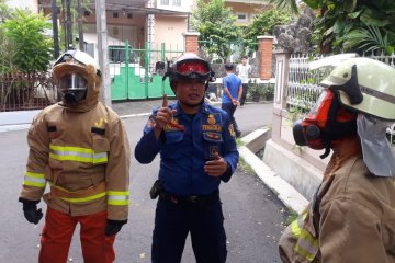 Sepanjang Jumat, Damkar Jaktim evakuasi sarang tawon di enam lokasi