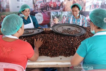 Wagub Bali: Sektor pertanian bisa jadi penunjang industri pariwisata