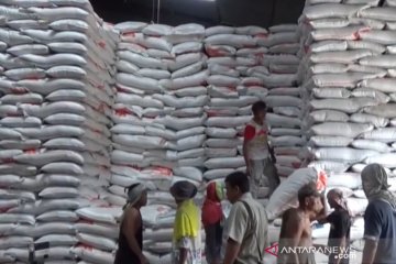 Ada 500 ton beras tak layak konsumsi di Bulog Tanjungpinang
