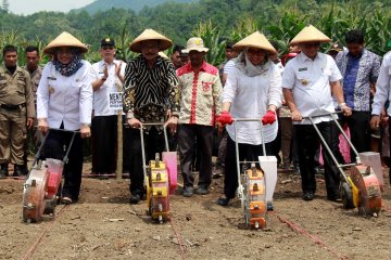 Kunjungan kerja Menteri Pertanian ke Sulawesi Barat