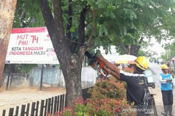 Pastikan keandalan listrik jelang Natal, begini persiapan PLN