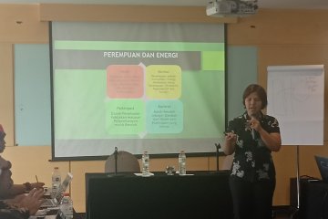 Pemerintah diminta gencarkan informasi energi baru terbarukan