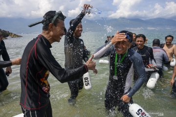 Renang lintas Teluk Palu