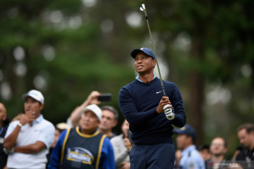 Putter golf milik Tiger Woods terjual Rp5,7 miliar di pelelangan