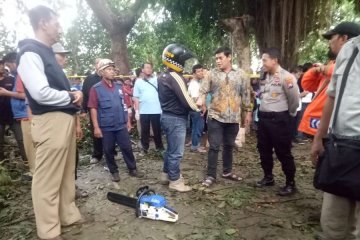 Tertimpa pohon saat hujan deras, mahasiwa di Kediri meninggal