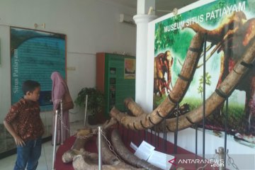 Pengembangan Museum Patiayam diusulkan Rp2,2 miliar
