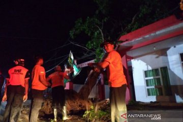 Humaniora kemarin, angin kencang hingga penambahan libur ASN