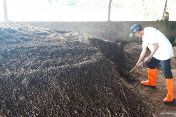 300 karung pupuk organik per hari diproduksi  Lumbung Ternak ACT