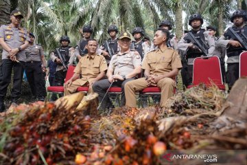 Harga TBS meroket, Polda Riau bentuk tim antisipasi pencurian sawit