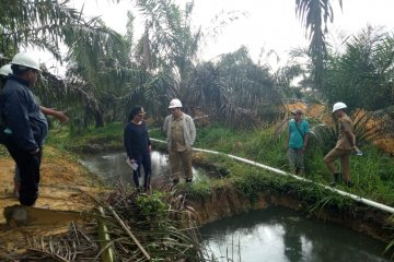 Pemkab Landak lakukan kajian air limbah sawit dijadikan pupuk