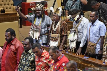 Rencana pembentukan provinsi Papua Selatan