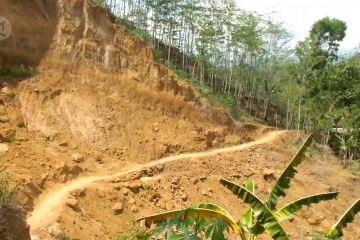 13 Kecamatan di Jember rawan longsor dan banjir bandang