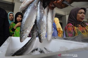 KKP salurkan bantuan Rp4,52 miliar ke UMKM perikanan di Jawa Tengah