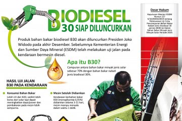Biodiesel B30 siap diluncurkan