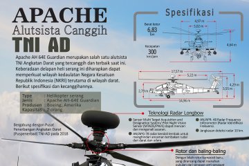 Apache alutsista canggih TNI AD