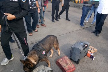 Ditresnarkoba Polda Banten razia penumpang kapal di Merak