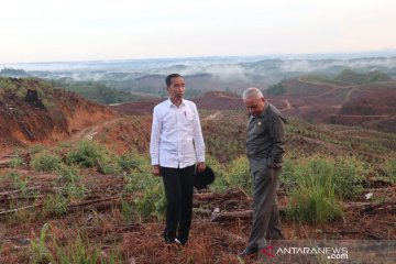 Presiden Jokowi tinjau lokasi ibu kota baru