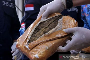 Pemusnahan Narkoba hasil tangkapan BNN Sulsel