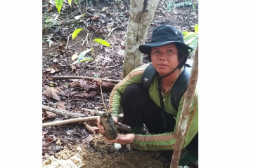 Seorang warga perbatasan hilang di hutan belantara Kalimantan