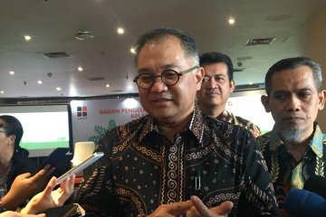 BPDPKS tunjuk lembaga surveyor percepat peremajaan sawit 500.000 ha