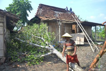 Dampak angin puting beliung di Demak