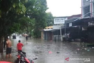 Warga Babel diminta waspadai ular tepung ari