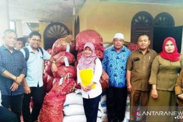 Kementan investigasi bibit bawang putih bantuan di Tapanuli Selatan