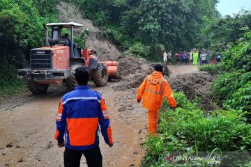 Tanah longsor terjadi di 30 lokasi di Kabupaten Agam