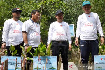 Bank DKI tanam 5000 pohon mangrove di Jakarta Utara