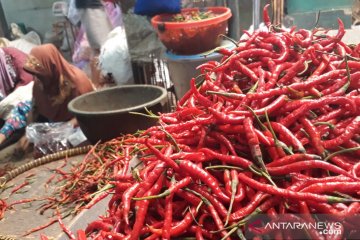 Harga cabai dan bawang di Pasar Pulo Gadung relatif stabil