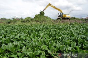 Pembersihan eceng gondok